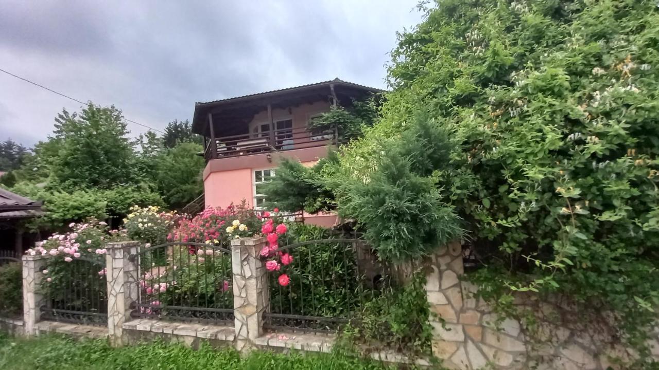Sani