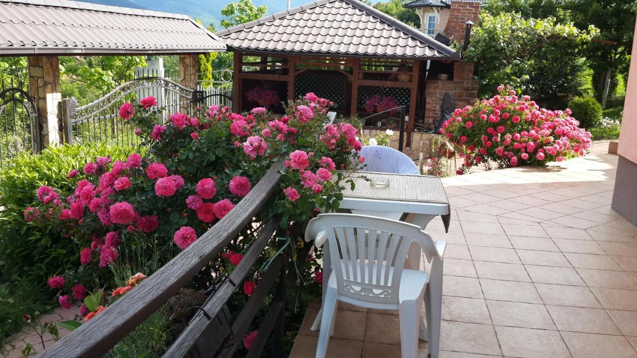 Sani Villa *